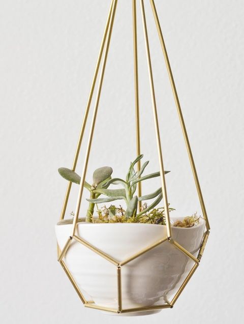 24 Cute And Space-Saving DIY Hanging Planters