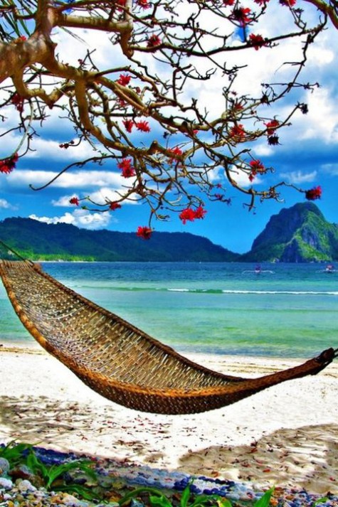 hammock_10