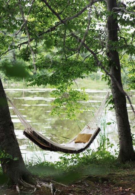 hammock_29