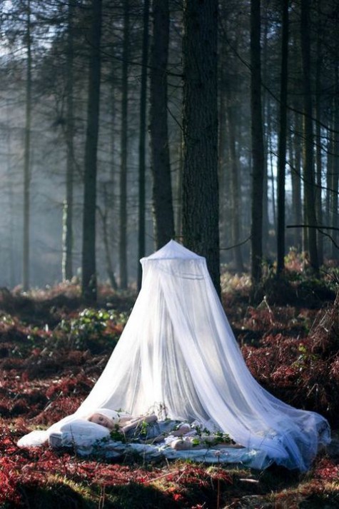 mosquito_net_outdoor_10