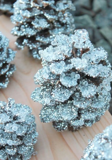 pinecone_christmas_26