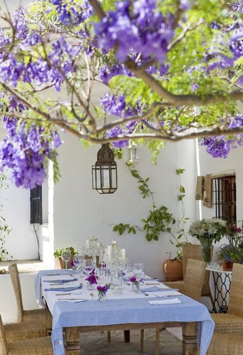 spring_terrace_11