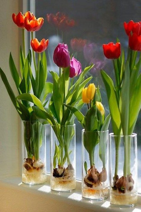 tulip_home_decor_01