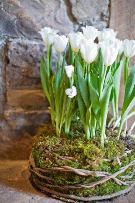 tulip_home_decor_46