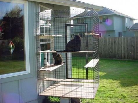 cat_enclosure_22