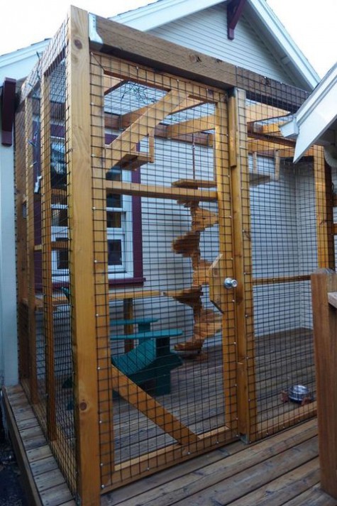 cat_enclosure_28