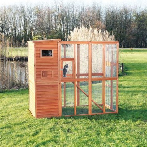 cat_enclosure_32