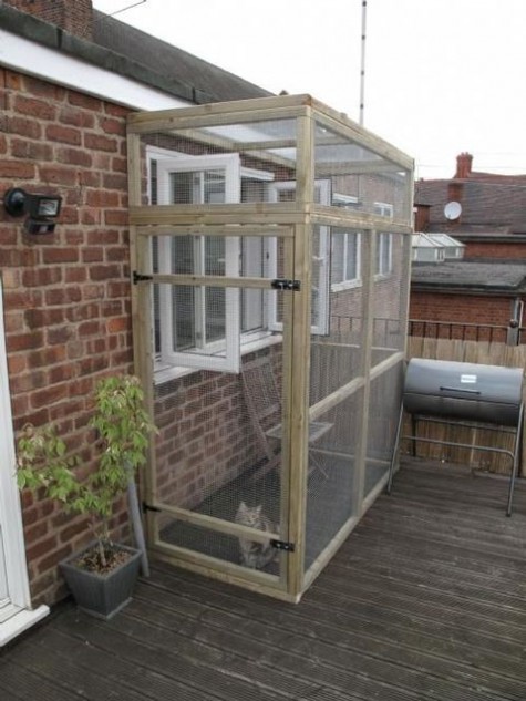 cat_enclosure_35