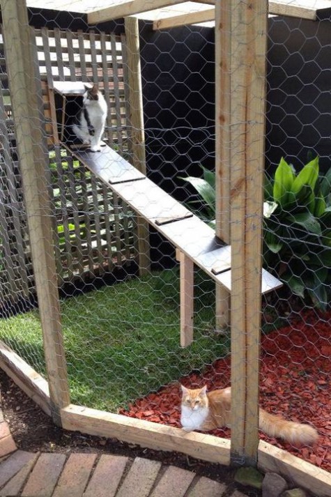 cat_enclosure_37