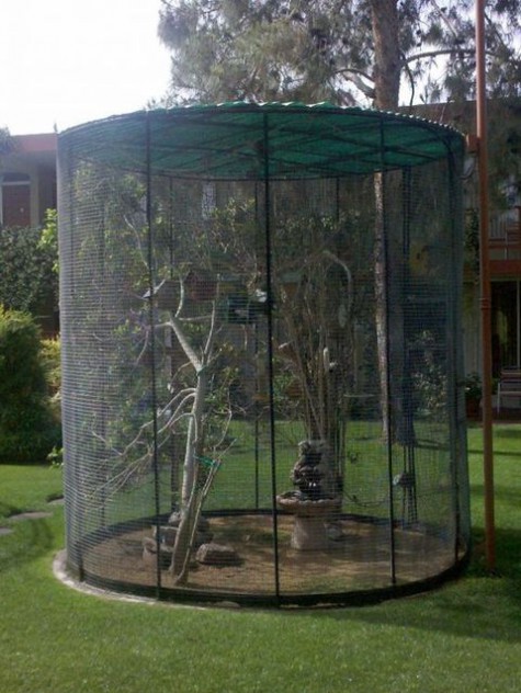 cat_enclosure_41