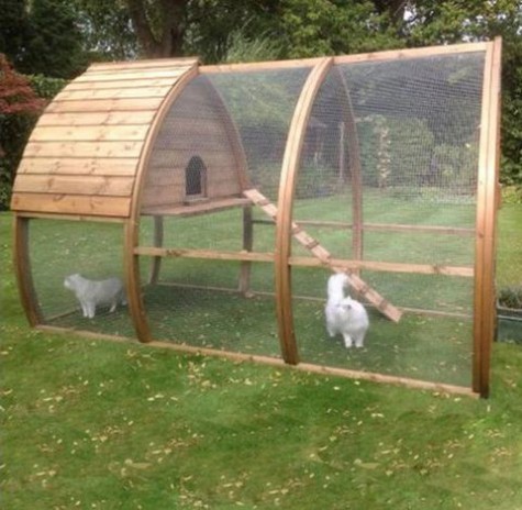 cat_enclosure_43
