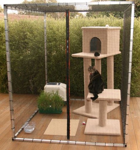 cat_enclosure_45