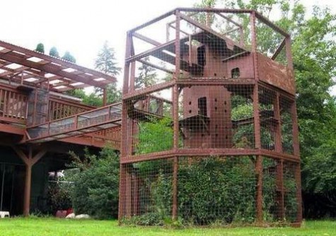 cat_enclosure_51
