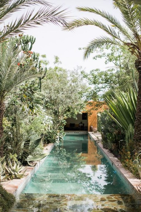 plunge_pool_50