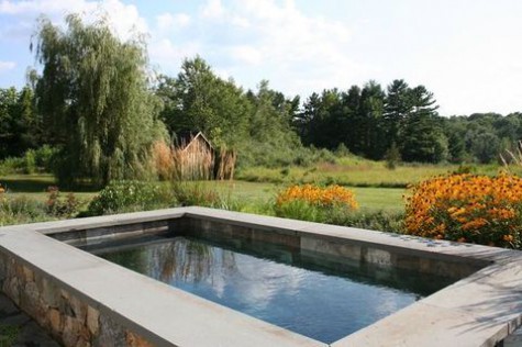 plunge_pool_51
