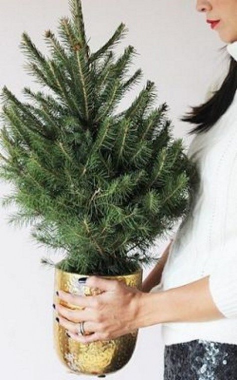 accentuate the tree with a bold metallic pot