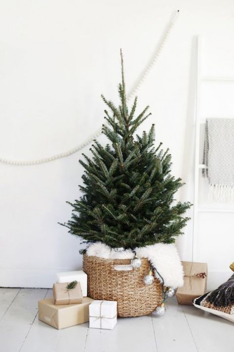 modern tree in a basket covered with fur
