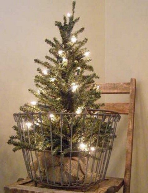 old egg basket, lights and burlap