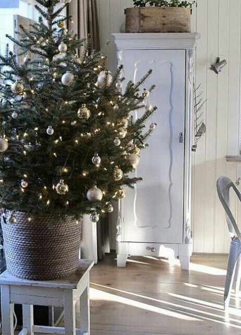 small fluffy tree in a basket, silver ornaments