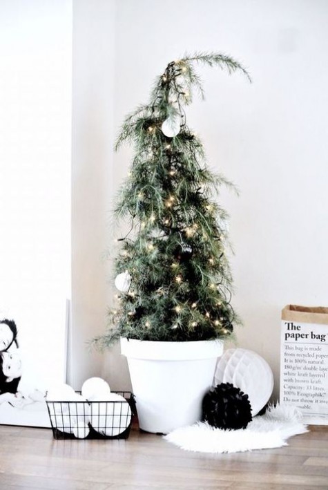 tiny potted tree with lights