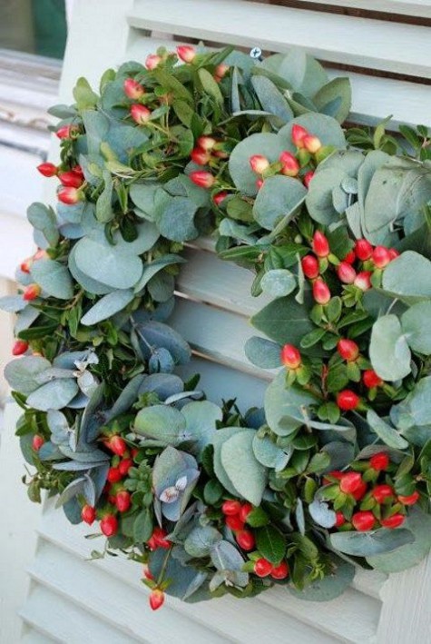 baby eucalyptus and red hypericum berries wreath