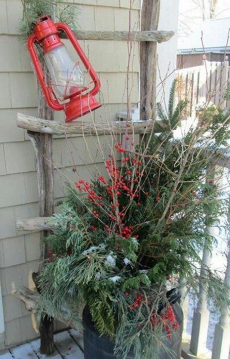 evergreens, berries and a red lantern