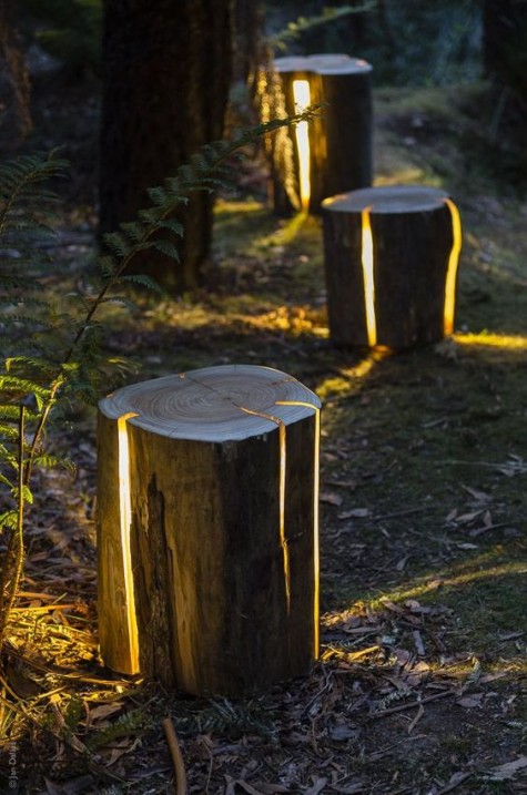 LED lights in tree stumps for a very natural look
