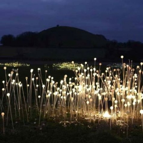 lights imitating plants will be a creative idea