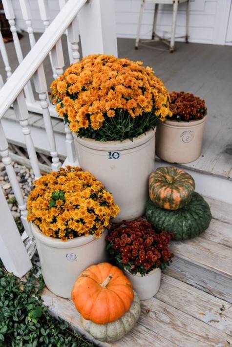 potted mums and some fresh pumpkins put on the stairs