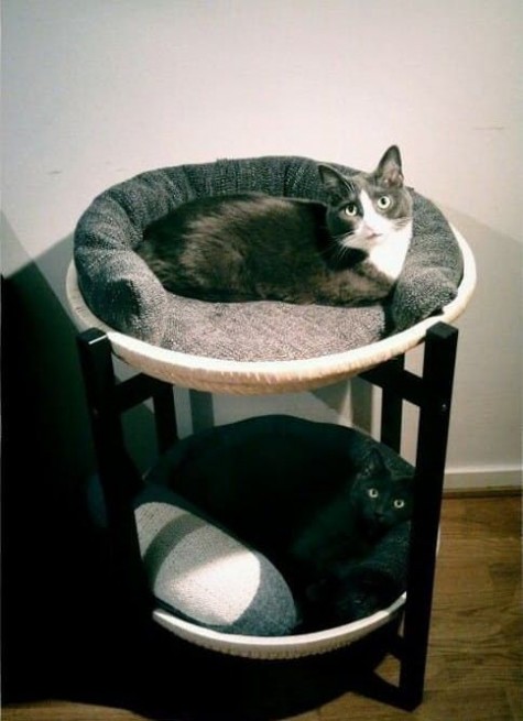 IKEA tray table turned into a double-decker cat bed