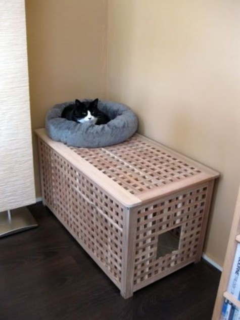a comfy Hol table with a kitty loo inside and a kitty bed on top