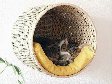 an IKEA basket turned into a wall kitty bed