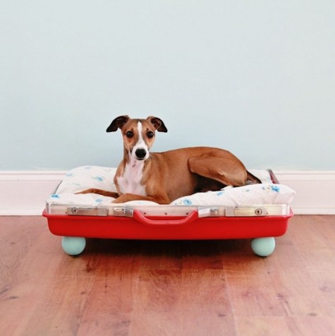 a half of a vintage suitcase and wooden legs from IKEA for a dog bed