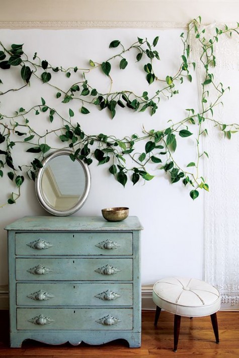 a bedroom wall taken by a climbing plant to make the space lively and fresh