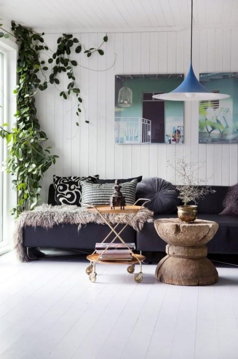 a climbing plant in the corner of the room is a fresh and cool idea