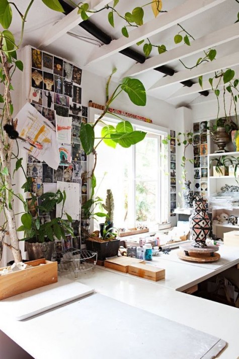 a climbing plant over the beams in the kitchen to refresh the look