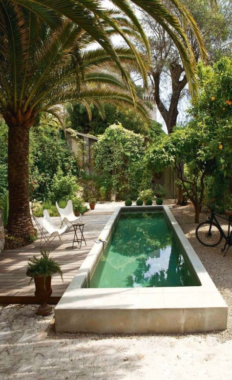a lush tropical garden with a framed long and narrow pool