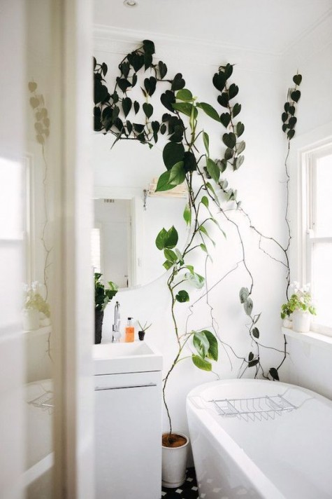 enliven the bathroom with a climbing plant on one wall