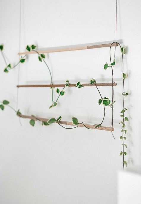 make your own minimalist trellis to hang your climbing plants