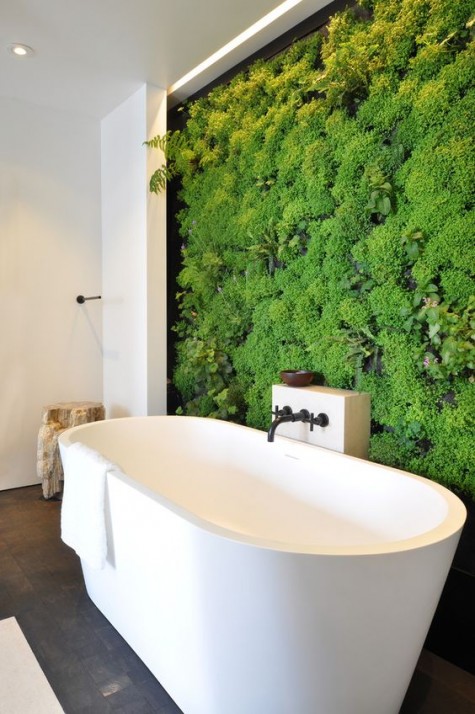 a moss wall is a catchy feature and doesn_t require much maintenance