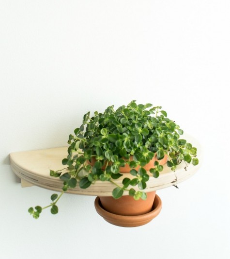IKEA Frosta stool hack into a planter shelf