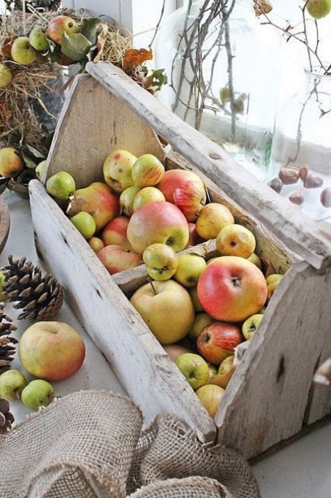 a rustic vintage toolbox with apples is a creative and practical display, you may eat them all