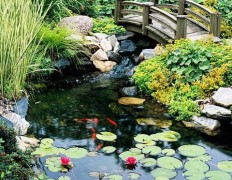 61 Dreamy Backyard Pond Designs