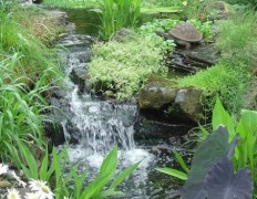 66 Relaxing Backyard Waterfalls For Your Outdoor Zones