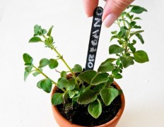 33 Easy To Make DIY Garden Markers